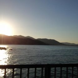 アジのサイズが少し大きくなってきました（下関フィッシングパーク）